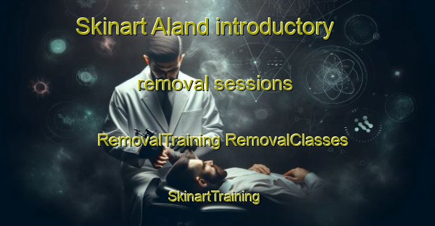 Skinart Aland introductory removal sessions | #RemovalTraining #RemovalClasses #SkinartTraining-Sweden