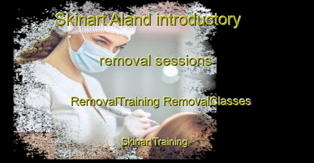 Skinart Aland introductory removal sessions | #RemovalTraining #RemovalClasses #SkinartTraining-Sweden