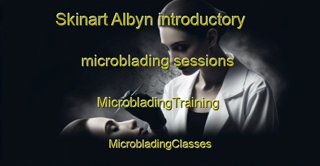 Skinart Albyn introductory microblading sessions | #MicrobladingTraining #MicrobladingClasses #SkinartTraining-Sweden