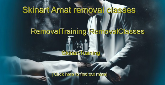 Skinart Amat removal classes | #RemovalTraining #RemovalClasses #SkinartTraining-Sweden