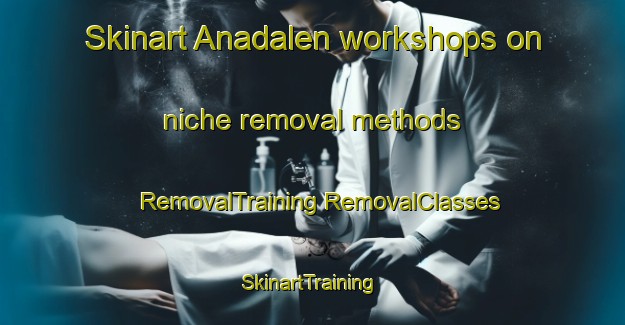 Skinart Anadalen workshops on niche removal methods | #RemovalTraining #RemovalClasses #SkinartTraining-Sweden