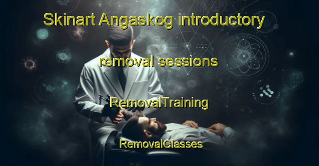 Skinart Angaskog introductory removal sessions | RemovalTraining | RemovalClasses | SkinartTraining-Sweden