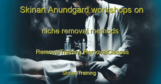 Skinart Anundgard workshops on niche removal methods | #RemovalTraining #RemovalClasses #SkinartTraining-Sweden