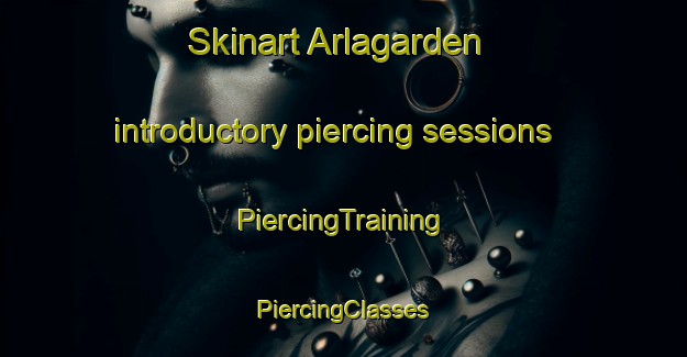 Skinart Arlagarden introductory piercing sessions | #PiercingTraining #PiercingClasses #SkinartTraining-Sweden