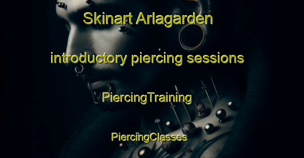 Skinart Arlagarden introductory piercing sessions | PiercingTraining | PiercingClasses | SkinartTraining-Sweden