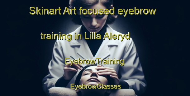 Skinart Art-focused eyebrow training in Lilla Aleryd | EyebrowTraining | EyebrowClasses | SkinartTraining-Sweden