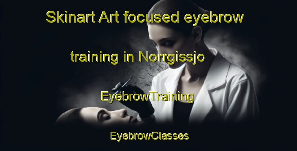 Skinart Art-focused eyebrow training in Norrgissjo | EyebrowTraining | EyebrowClasses | SkinartTraining-Sweden