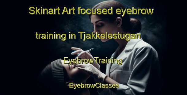 Skinart Art-focused eyebrow training in Tjakkelestugan | EyebrowTraining | EyebrowClasses | SkinartTraining-Sweden