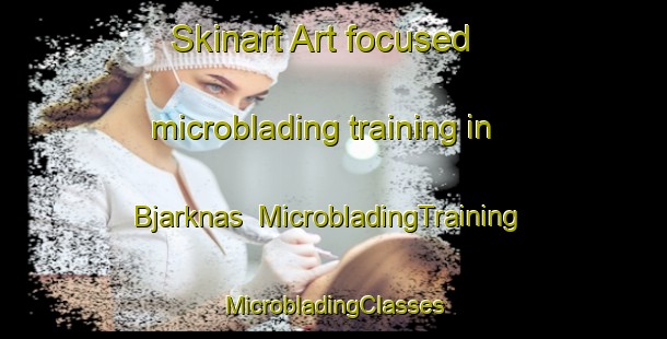 Skinart Art-focused microblading training in Bjarknas | #MicrobladingTraining #MicrobladingClasses #SkinartTraining-Sweden