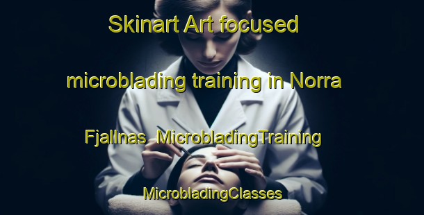 Skinart Art-focused microblading training in Norra Fjallnas | #MicrobladingTraining #MicrobladingClasses #SkinartTraining-Sweden