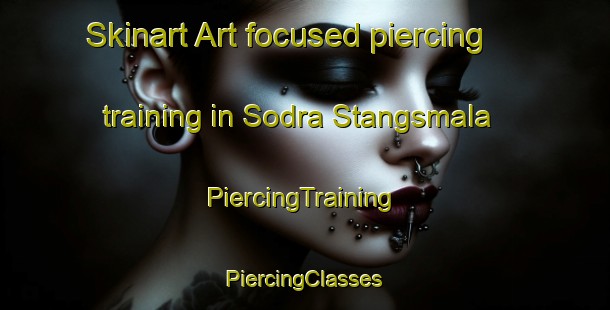 Skinart Art-focused piercing training in Sodra Stangsmala | #PiercingTraining #PiercingClasses #SkinartTraining-Sweden