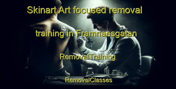 Skinart Art-focused removal training in Framnaesgatan | RemovalTraining | RemovalClasses | SkinartTraining-Sweden