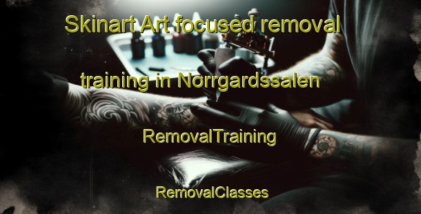 Skinart Art-focused removal training in Norrgardssalen | RemovalTraining | RemovalClasses | SkinartTraining-Sweden