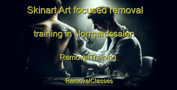 Skinart Art-focused removal training in Norrgardssalen | RemovalTraining | RemovalClasses | SkinartTraining-Sweden