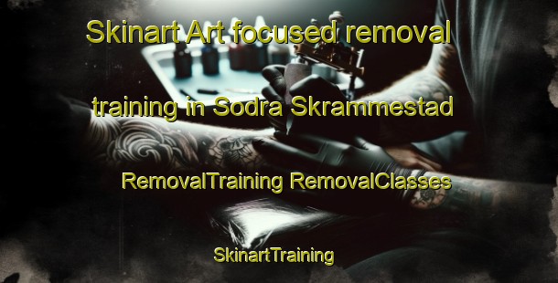 Skinart Art-focused removal training in Sodra Skrammestad | #RemovalTraining #RemovalClasses #SkinartTraining-Sweden