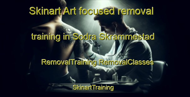 Skinart Art-focused removal training in Sodra Skrammestad | #RemovalTraining #RemovalClasses #SkinartTraining-Sweden