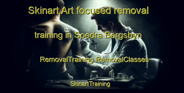 Skinart Art-focused removal training in Soedra Bergsbyn | #RemovalTraining #RemovalClasses #SkinartTraining-Sweden