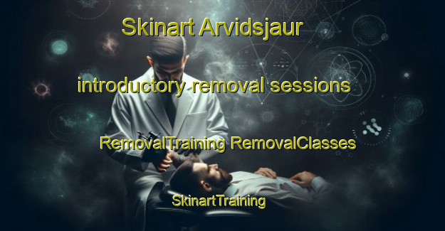 Skinart Arvidsjaur introductory removal sessions | #RemovalTraining #RemovalClasses #SkinartTraining-Sweden