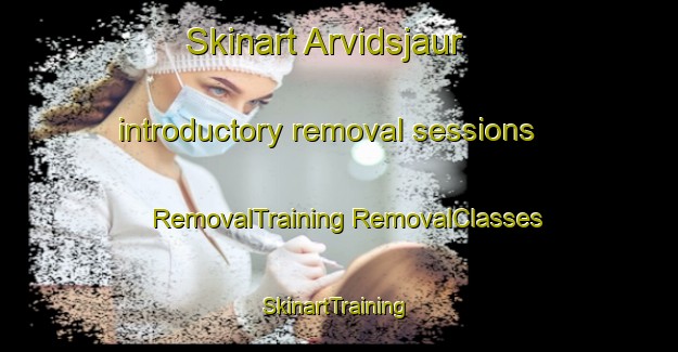 Skinart Arvidsjaur introductory removal sessions | #RemovalTraining #RemovalClasses #SkinartTraining-Sweden