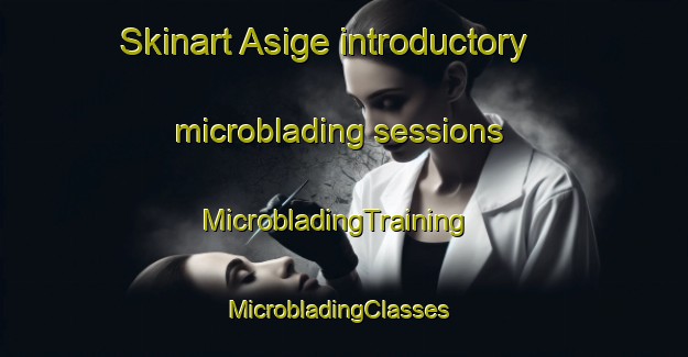 Skinart Asige introductory microblading sessions | MicrobladingTraining | MicrobladingClasses | SkinartTraining-Sweden