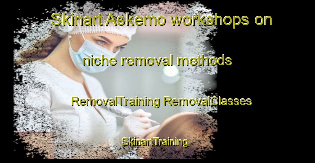 Skinart Askemo workshops on niche removal methods | #RemovalTraining #RemovalClasses #SkinartTraining-Sweden