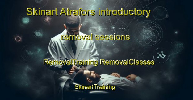 Skinart Atrafors introductory removal sessions | #RemovalTraining #RemovalClasses #SkinartTraining-Sweden