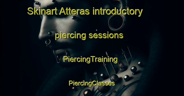 Skinart Atteras introductory piercing sessions | #PiercingTraining #PiercingClasses #SkinartTraining-Sweden