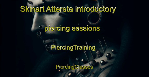 Skinart Attersta introductory piercing sessions | #PiercingTraining #PiercingClasses #SkinartTraining-Sweden