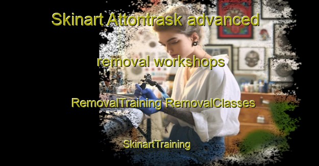 Skinart Attontrask advanced removal workshops | #RemovalTraining #RemovalClasses #SkinartTraining-Sweden