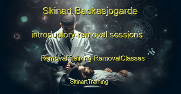 Skinart Backasjogarde introductory removal sessions | #RemovalTraining #RemovalClasses #SkinartTraining-Sweden