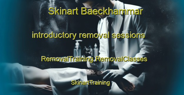 Skinart Baeckhammar introductory removal sessions | #RemovalTraining #RemovalClasses #SkinartTraining-Sweden