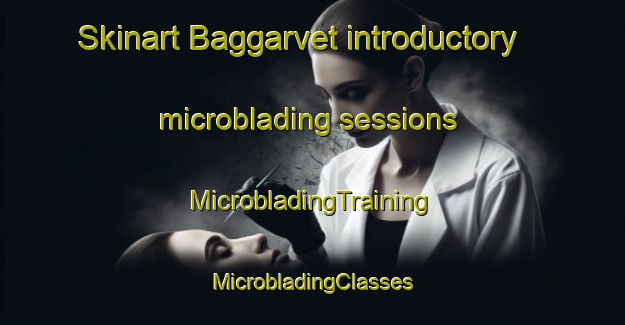 Skinart Baggarvet introductory microblading sessions | #MicrobladingTraining #MicrobladingClasses #SkinartTraining-Sweden