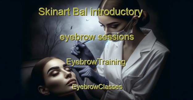 Skinart Bal introductory eyebrow sessions | EyebrowTraining | EyebrowClasses | SkinartTraining-Sweden