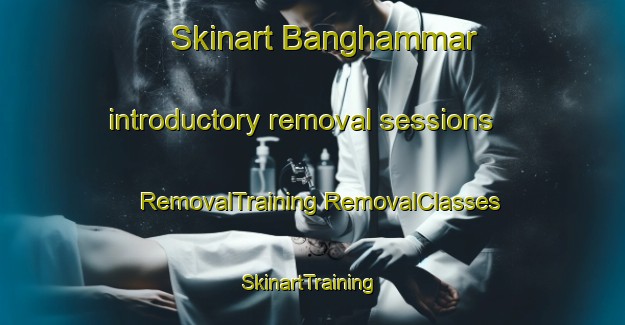 Skinart Banghammar introductory removal sessions | #RemovalTraining #RemovalClasses #SkinartTraining-Sweden