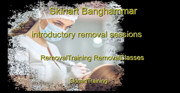 Skinart Banghammar introductory removal sessions | #RemovalTraining #RemovalClasses #SkinartTraining-Sweden