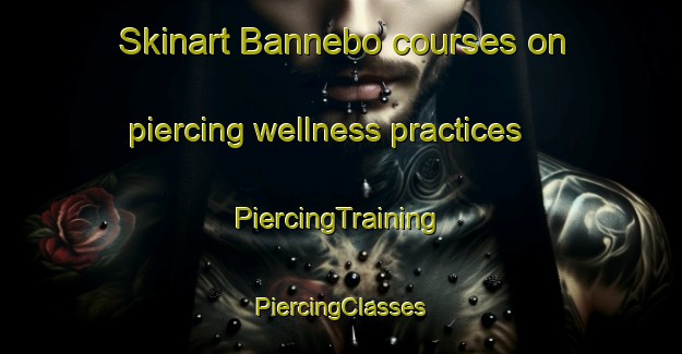 Skinart Bannebo courses on piercing wellness practices | #PiercingTraining #PiercingClasses #SkinartTraining-Sweden