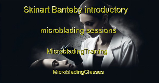 Skinart Banteby introductory microblading sessions | MicrobladingTraining | MicrobladingClasses | SkinartTraining-Sweden
