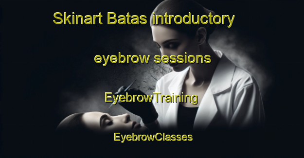 Skinart Batas introductory eyebrow sessions | EyebrowTraining | EyebrowClasses | SkinartTraining-Sweden