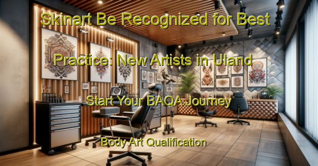 Skinart Be Recognized for Best Practice: New Artists in Uland - Start Your BAQA Journey | Body Art Qualification Authority | BAQA-Sweden