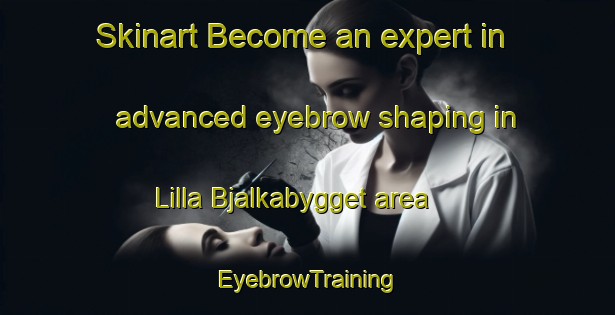Skinart Become an expert in advanced eyebrow shaping in Lilla Bjalkabygget area | EyebrowTraining | EyebrowClasses | SkinartTraining-Sweden