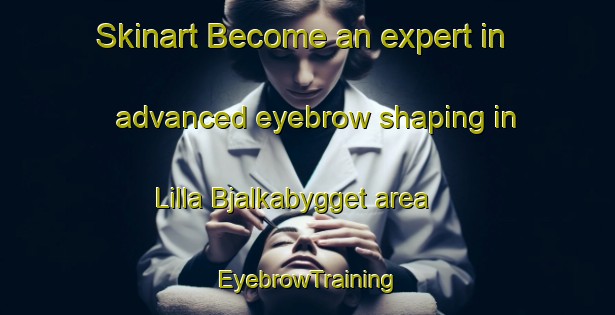 Skinart Become an expert in advanced eyebrow shaping in Lilla Bjalkabygget area | EyebrowTraining | EyebrowClasses | SkinartTraining-Sweden