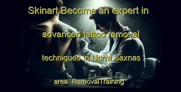 Skinart Become an expert in advanced tattoo removal techniques in Norra Saxnas area | RemovalTraining | RemovalClasses | SkinartTraining-Sweden