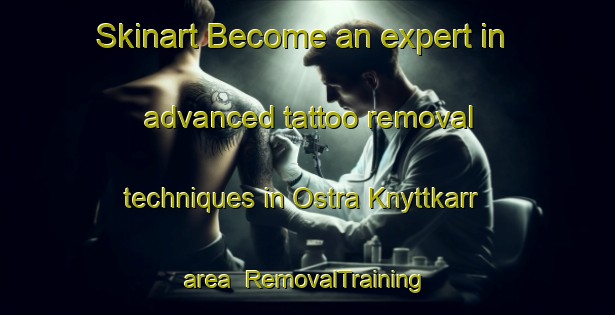 Skinart Become an expert in advanced tattoo removal techniques in Ostra Knyttkarr area | RemovalTraining | RemovalClasses | SkinartTraining-Sweden