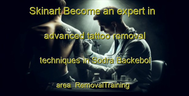 Skinart Become an expert in advanced tattoo removal techniques in Sodra Backebol area | RemovalTraining | RemovalClasses | SkinartTraining-Sweden