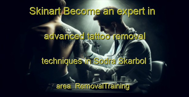 Skinart Become an expert in advanced tattoo removal techniques in Sodra Skarbol area | RemovalTraining | RemovalClasses | SkinartTraining-Sweden