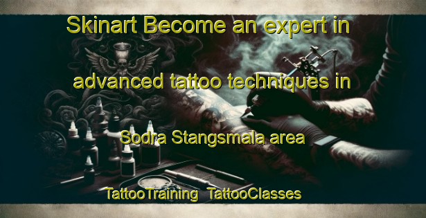 Skinart Become an expert in advanced tattoo techniques in Sodra Stangsmala area | TattooTraining | TattooClasses | SkinartTraining-Sweden