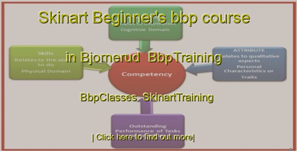 Skinart Beginner's bbp course in Bjornerud | BbpTraining | BbpClasses | SkinartTraining-Sweden