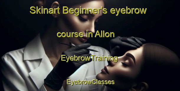 Skinart Beginner's eyebrow course in Allon | EyebrowTraining | EyebrowClasses | SkinartTraining-Sweden