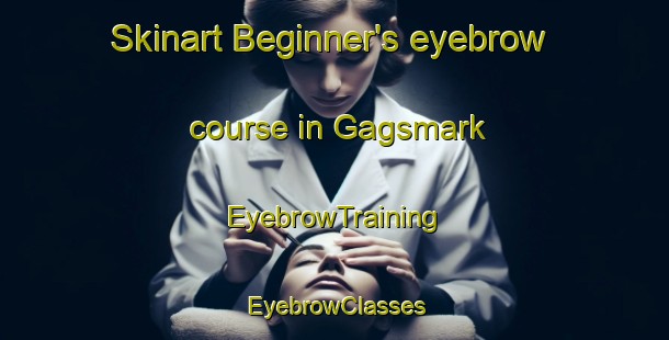 Skinart Beginner's eyebrow course in Gagsmark | EyebrowTraining | EyebrowClasses | SkinartTraining-Sweden