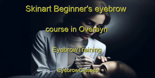 Skinart Beginner's eyebrow course in Overbyn | EyebrowTraining | EyebrowClasses | SkinartTraining-Sweden